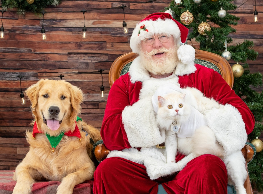 Fur babies to meet with Santa Paws